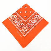 paisley pattern