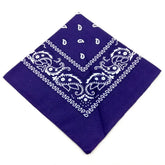 paisley pattern