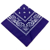paisley pattern