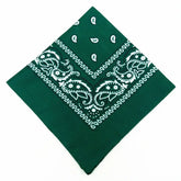 paisley pattern