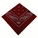 paisley pattern