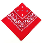 paisley pattern