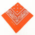 paisley pattern